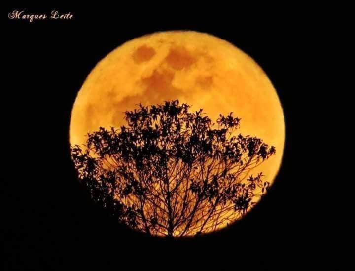 Pousada Rosa Mistica Sao Tome das Letras Luaran gambar